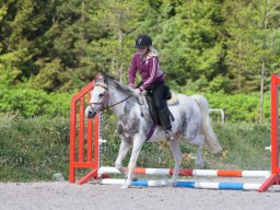 2009 Springundervisning